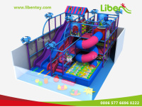 Business Plan Indoor Play Equipment With  Limited Budget